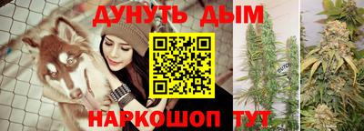 индика Ирбит